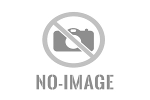 Polda Jambi Ikuti Vicon Bersama Kapolri, Perkuat Pengamanan dan Pelayanan di Objek Wisata Saat Idul Fitri 1447 H