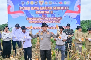 Polda Jambi Gelar Panen Raya Jagung Serentak Kuartal II 2026, Dukung Program Ketahanan Pangan Nasional
