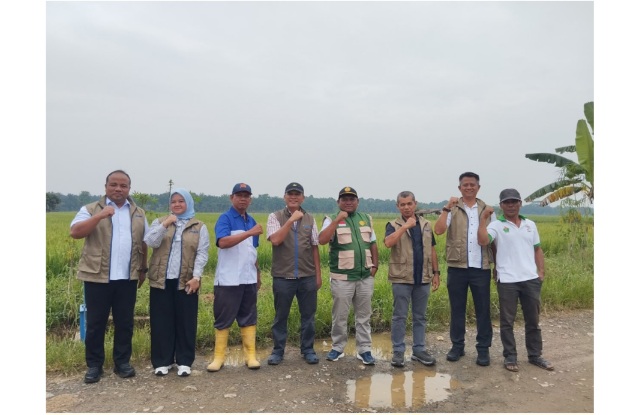 Serapan Gabah dan Beras Nasional Tembus 3 Juta Ton, BULOG Jambi Capai 70 Persen Target Pengadaan