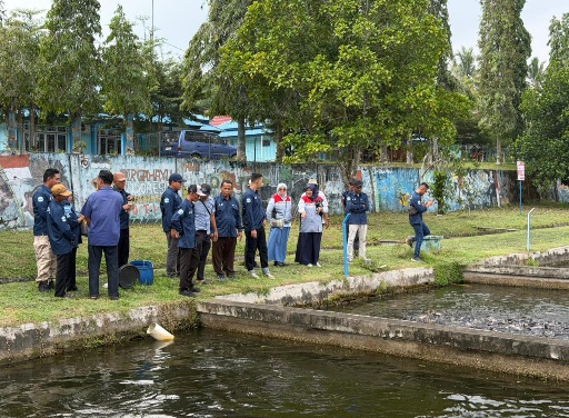 Pertamina EP Jambi Inisiasi Desa Lopak Alai Bersiap Jadi Sentra Pembibitan Patin
